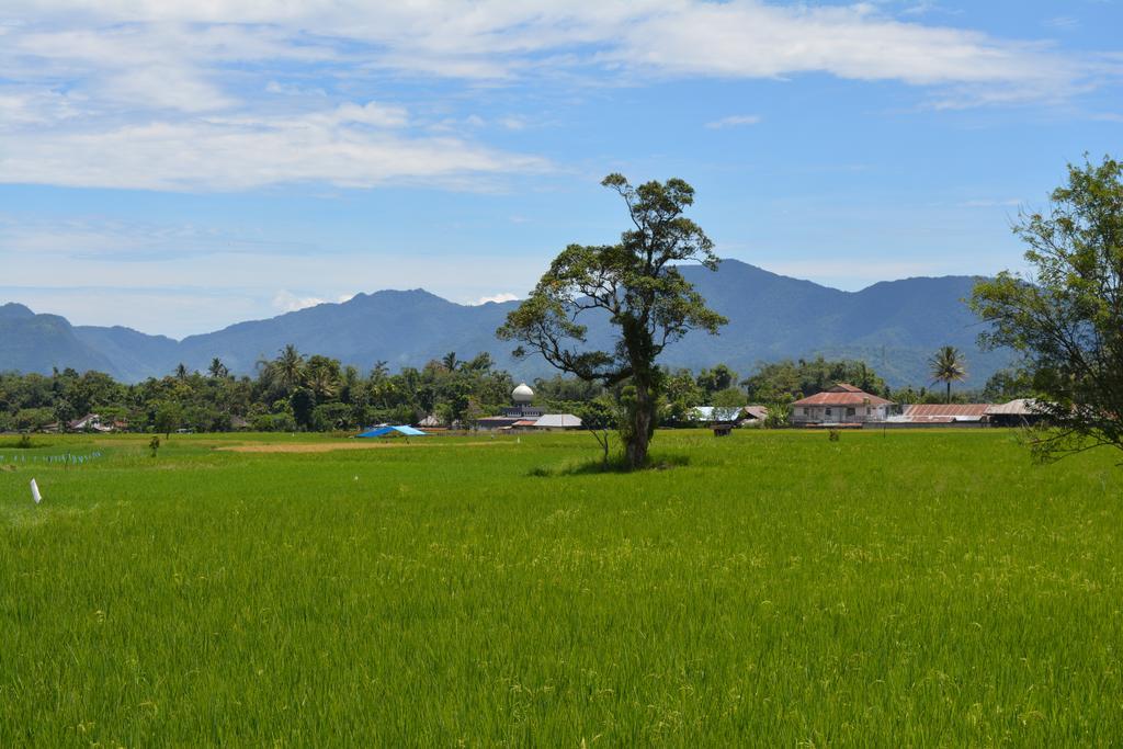 Koto Hilalang Homestay Bukittinggi Exterior photo